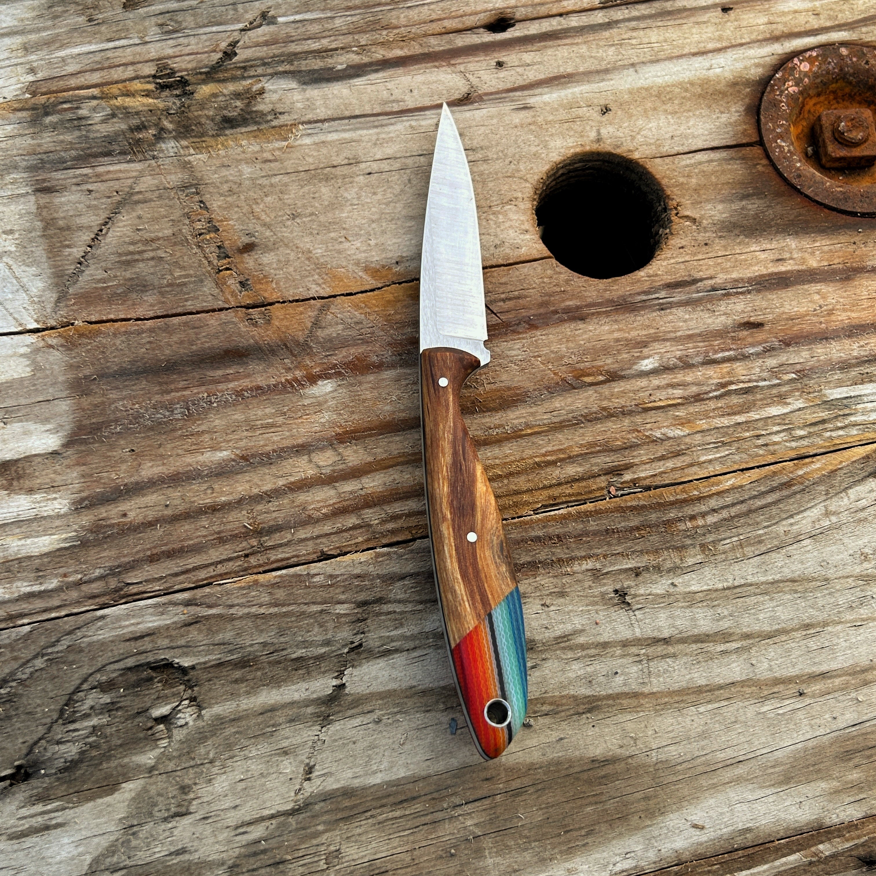 7 inch bird & trout knife with wood & blue/red serape handle
