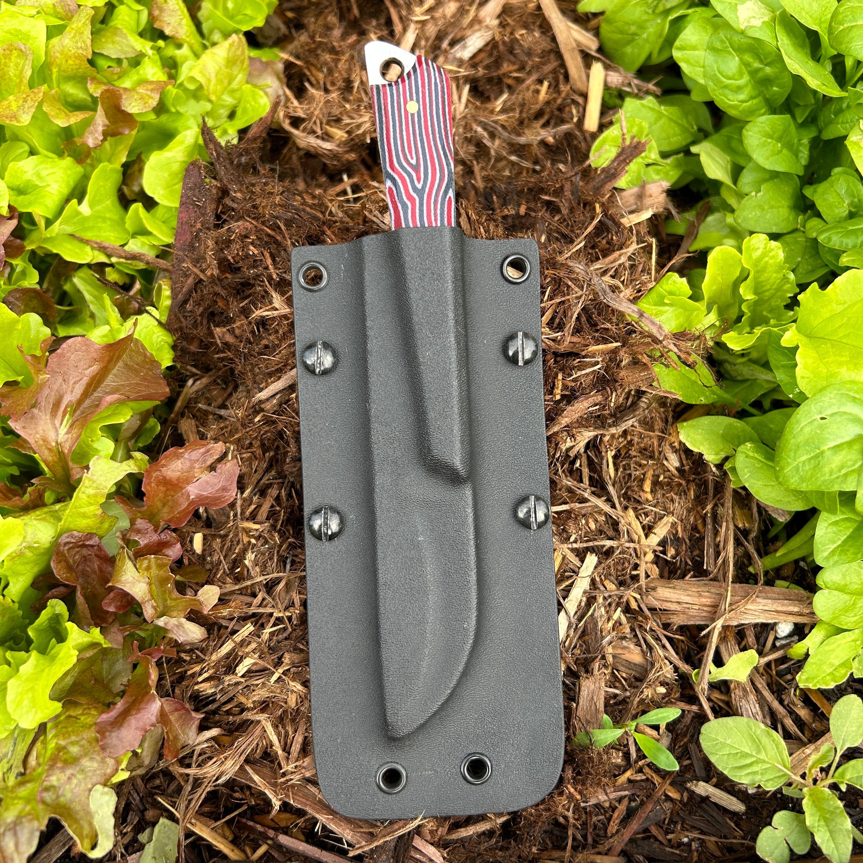 knife in kydex holder laying on mulch between lettuce