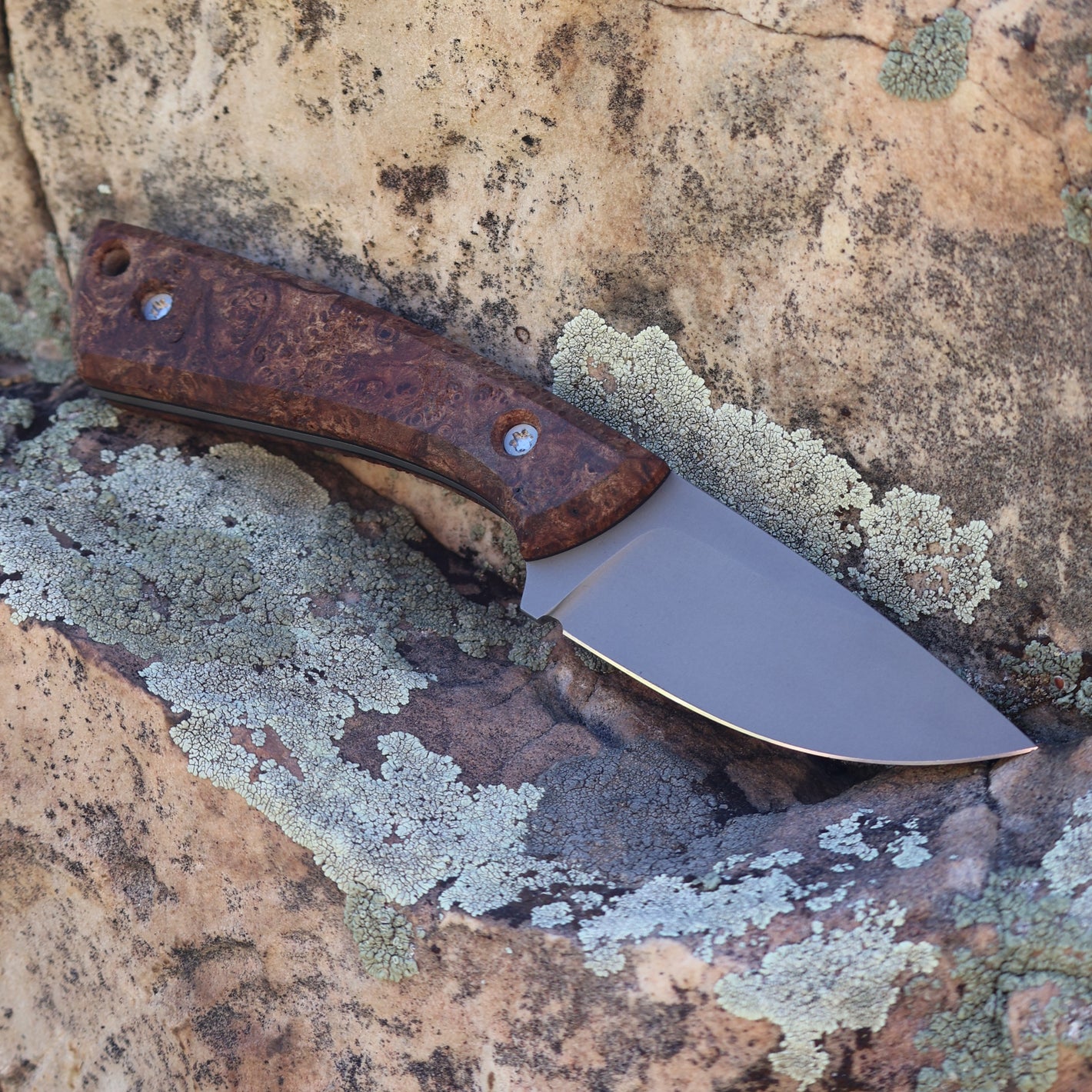 Knife with a brown handle on a textured rock surface